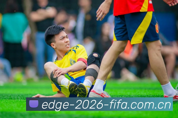 2026世界杯官方数据应用界面